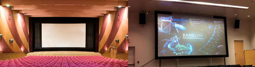 Real-D and SēVision 3D silver screens